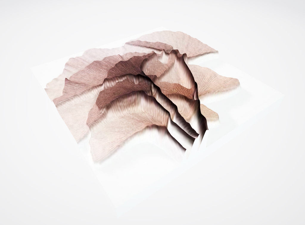 Floral Tile Prints 3D Design Concept Model Drawing Rendering 1