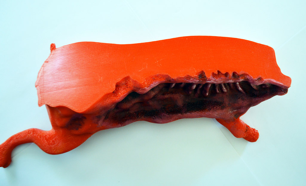3D Printed and Artistic Render Pig Carcass Product 1